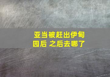 亚当被赶出伊甸园后 之后去哪了